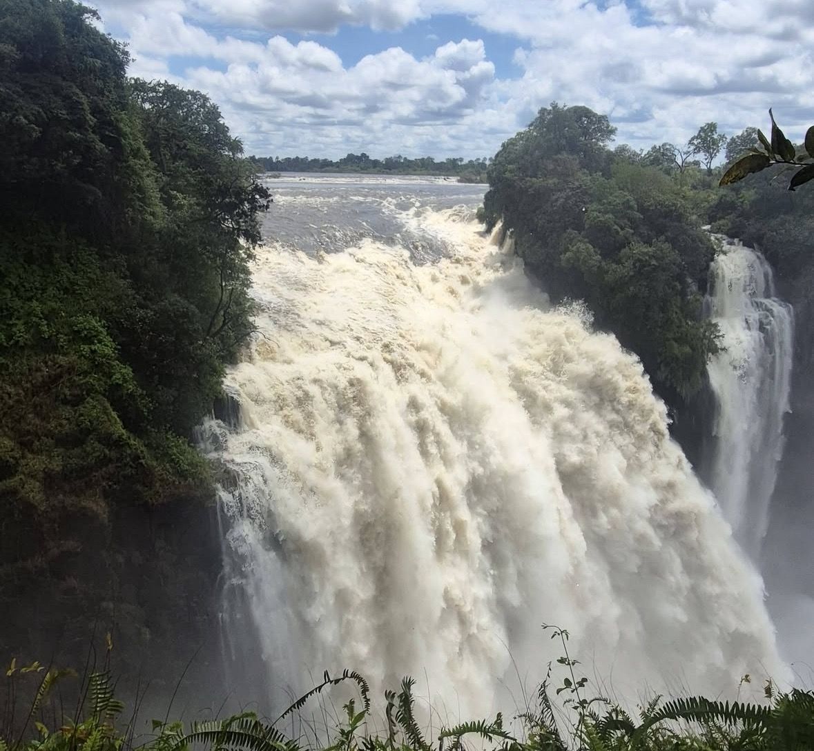 Chobe-Tagesausflug von Victoria Falls Simbabwe